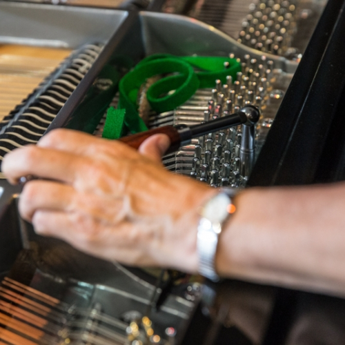 Craig Shaw photography