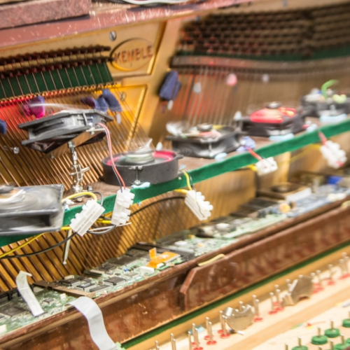 Craig Shaw photography