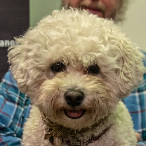 Piano-Festival-2019-Fri-10-JH